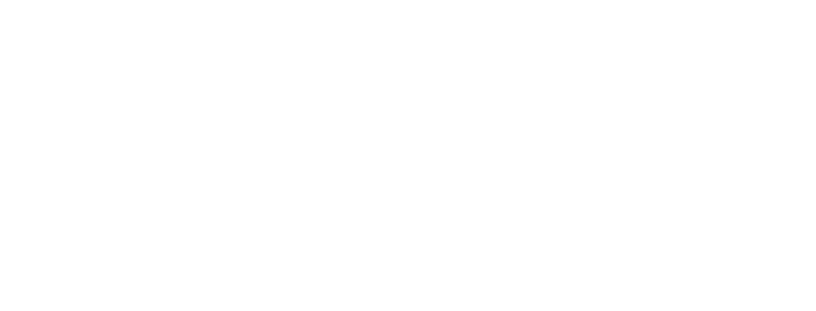 IDEX logo grand pour les fonds sombres (PNG transparent)