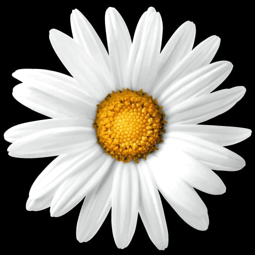 Implenia AG logo (transparent PNG)