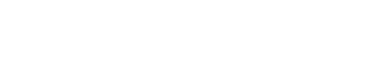 Indel B S.p.A. logo grand pour les fonds sombres (PNG transparent)