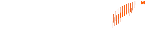 Ionic Digital Logo groß für dunkle Hintergründe (transparentes PNG)