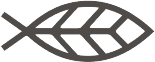 Arnarlax (Icelandic Salmon) logo (transparent PNG)