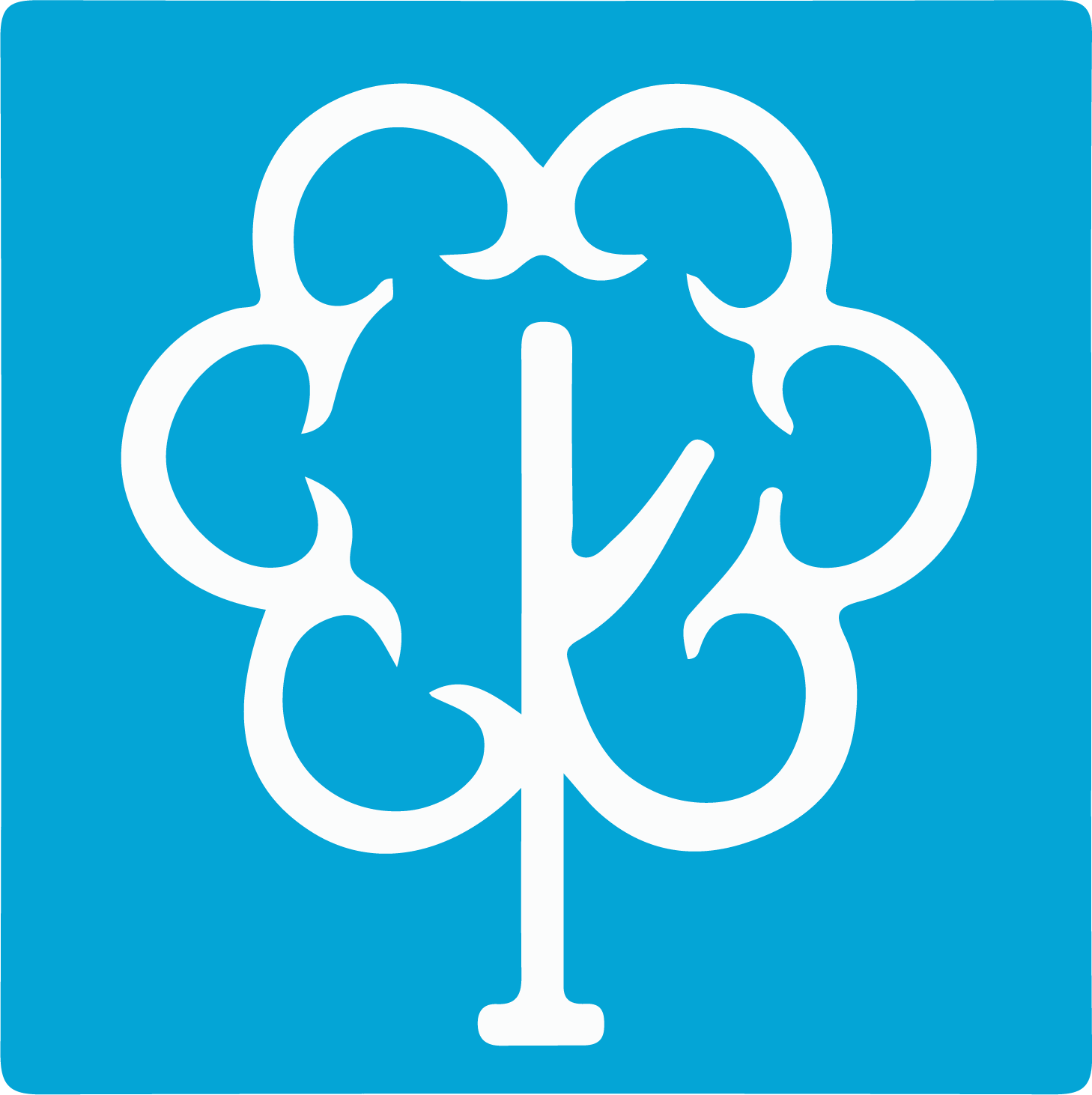 Kalpataru Power Transmission logo (transparent PNG)