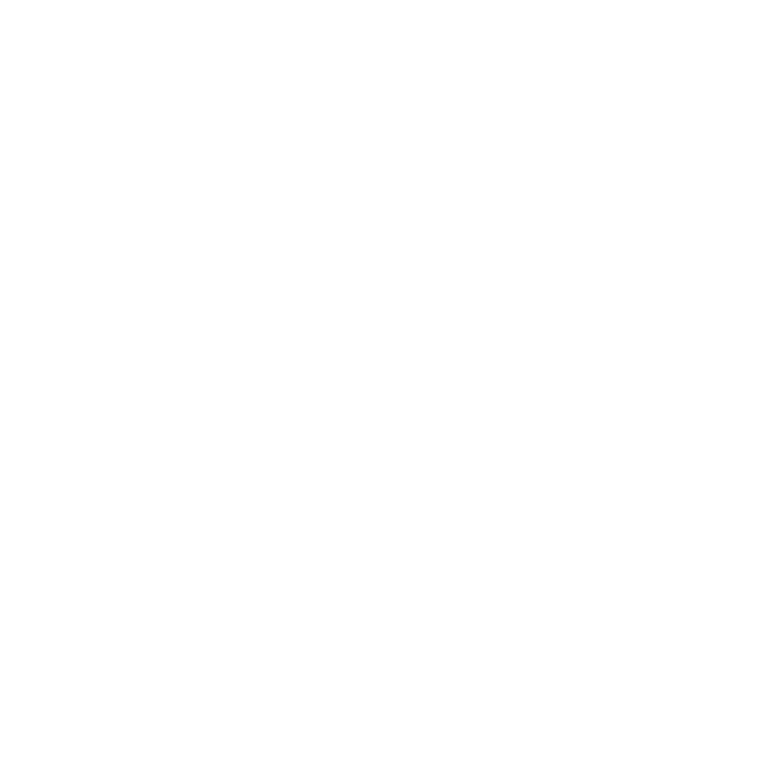 Nerolac Paints logo pour fonds sombres (PNG transparent)