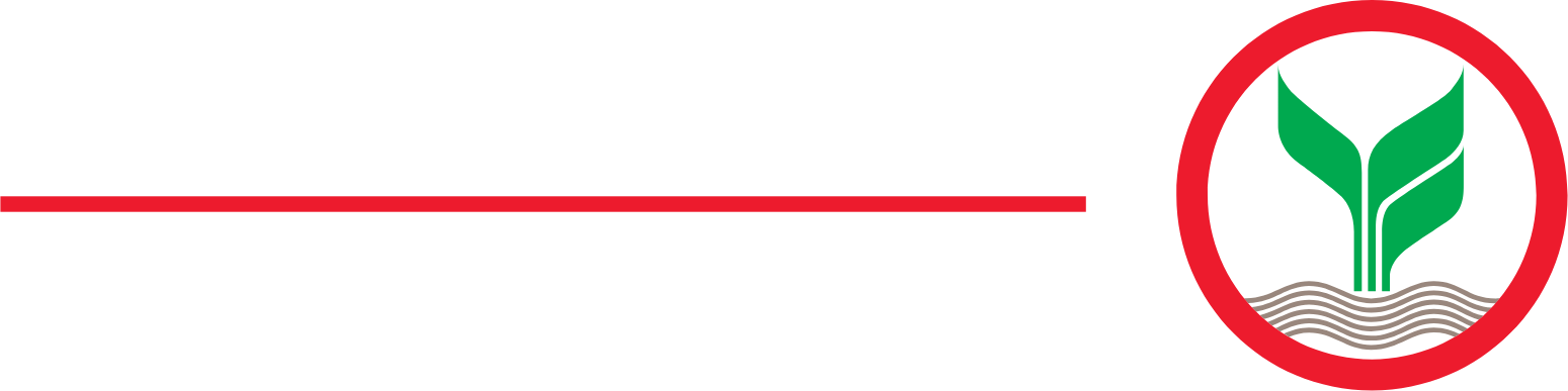 Kasikornbank logo fulle size on a dark background (transparent PNG)