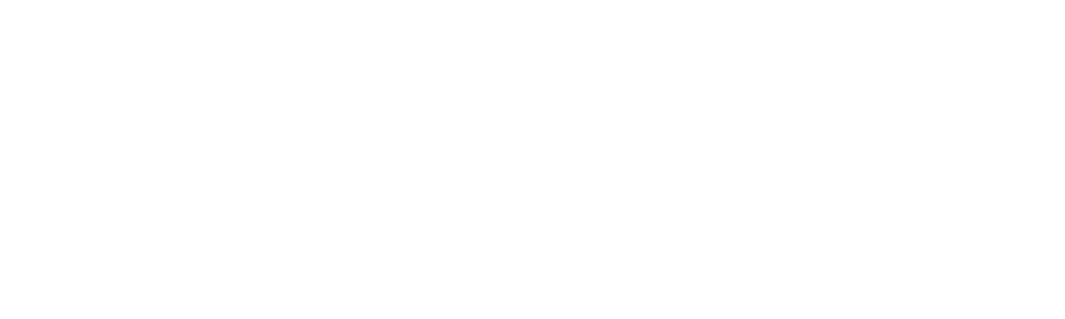 Türkiye Kalkınma logo grand pour les fonds sombres (PNG transparent)