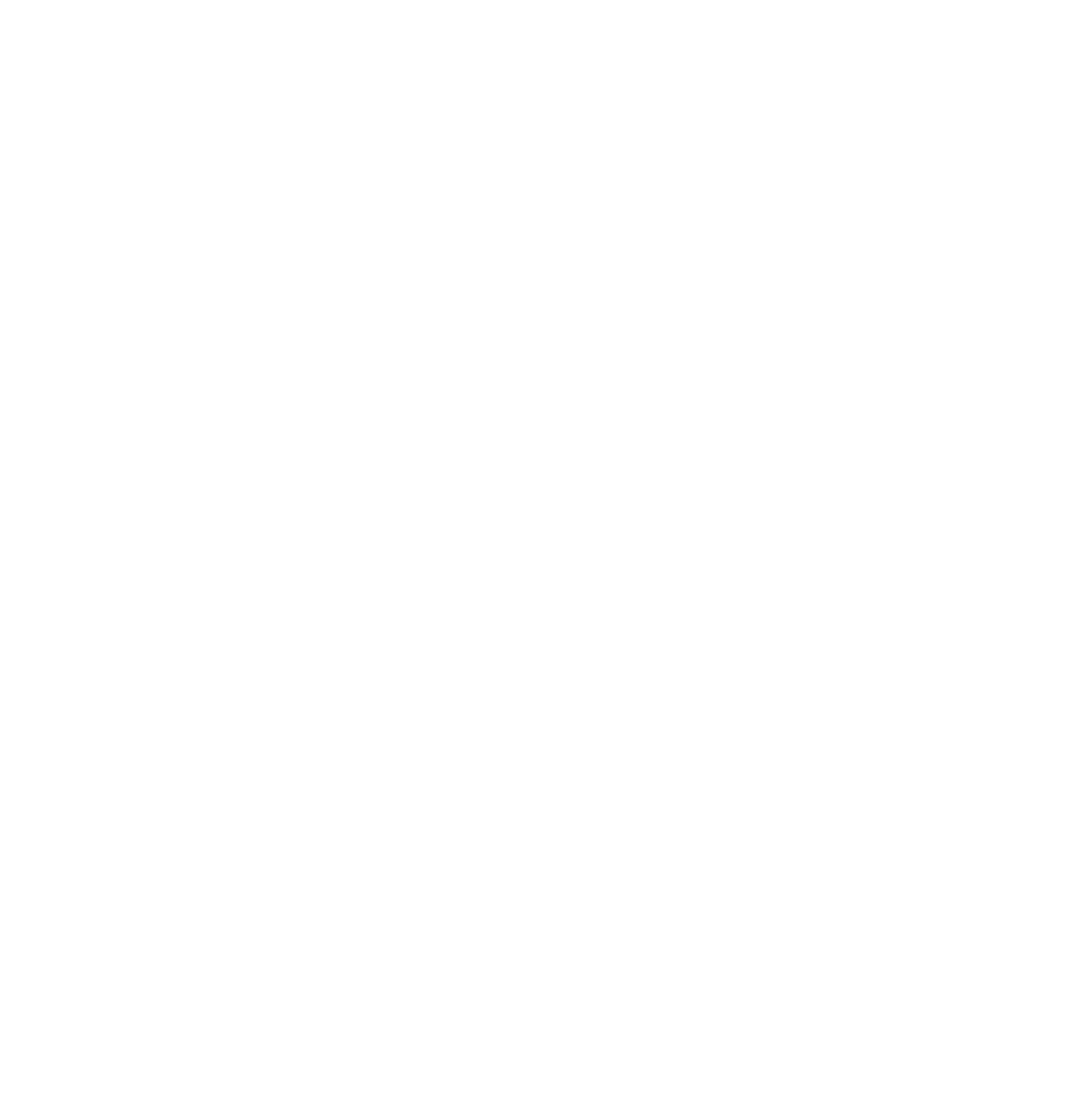 Kokuyo Camlin
 logo pour fonds sombres (PNG transparent)