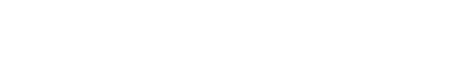 Karnataka Bank
 Logo groß für dunkle Hintergründe (transparentes PNG)