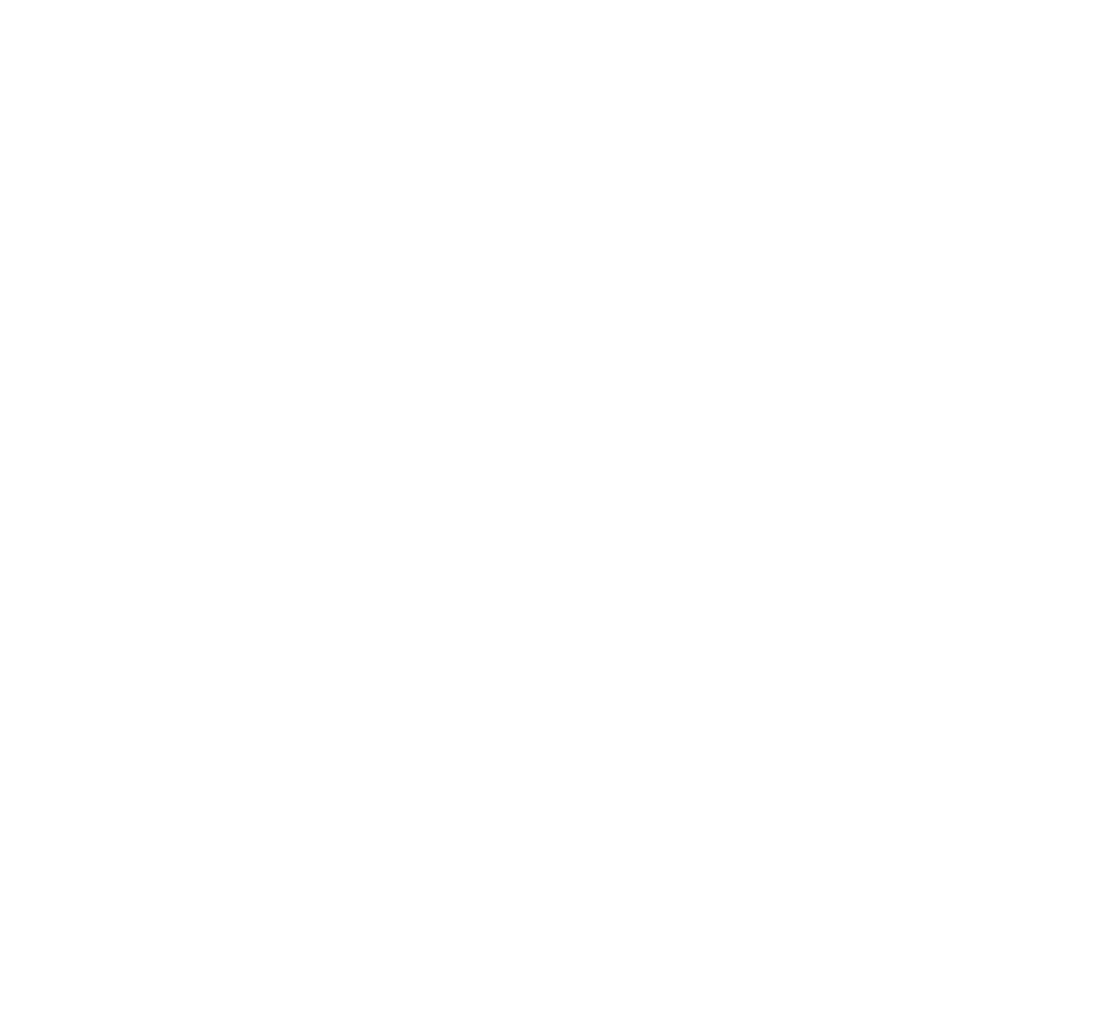 nLIGHT logo pour fonds sombres (PNG transparent)