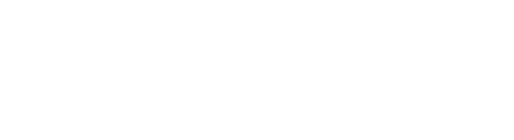 nLIGHT logo grand pour les fonds sombres (PNG transparent)