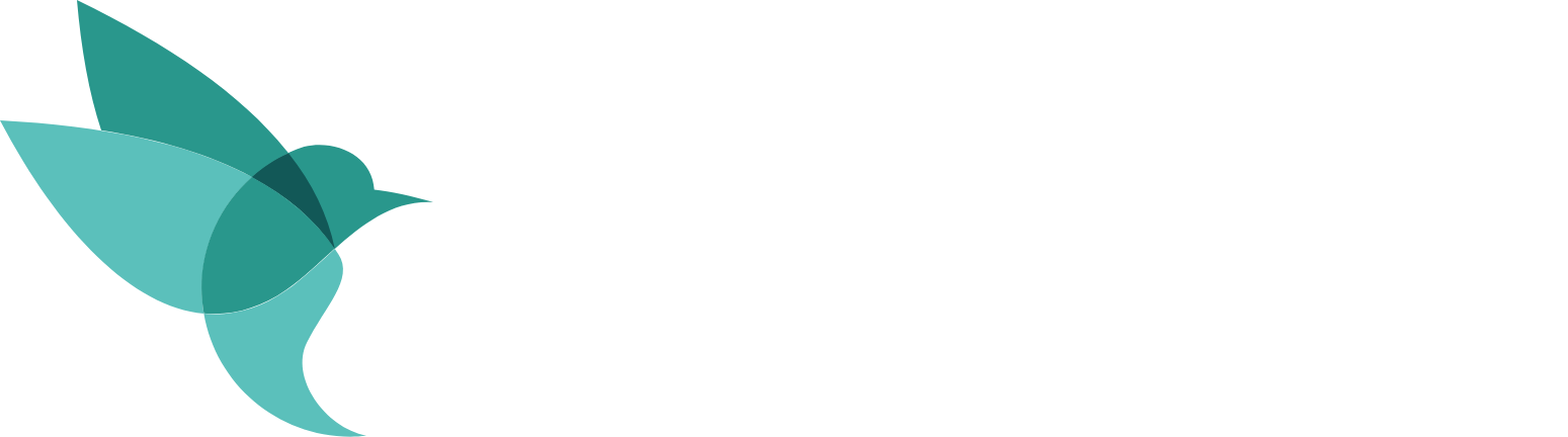 Lumibird logo fulle size on a dark background (transparent PNG)