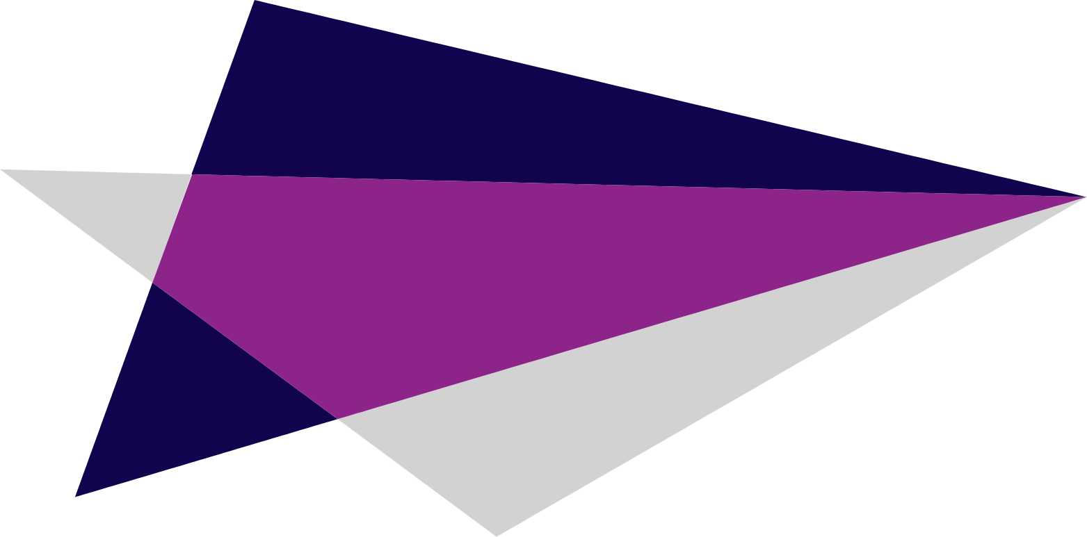 Leidos logo (PNG transparent)