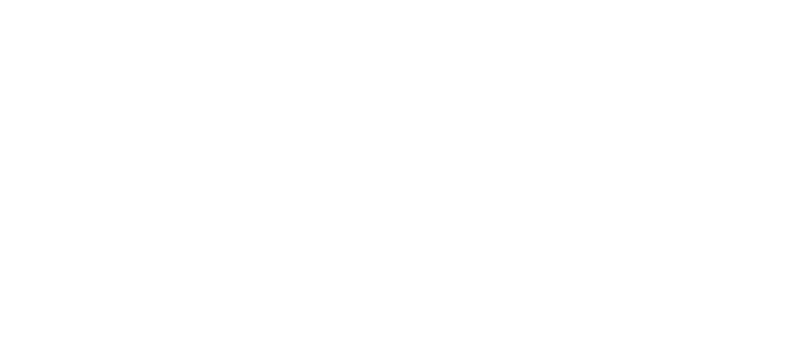 Lenzing

 logo fulle size on a dark background (transparent PNG)