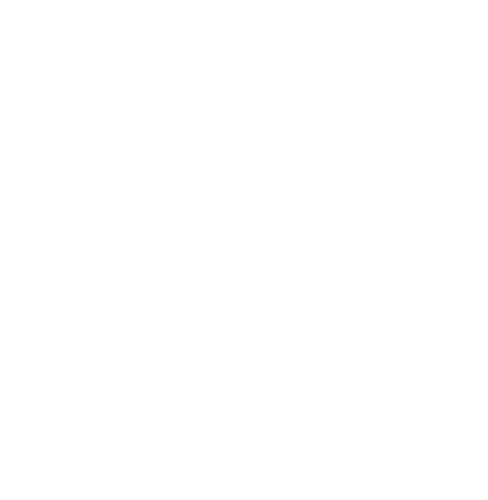 Lincoln National Corporation logo on a dark background (transparent PNG)