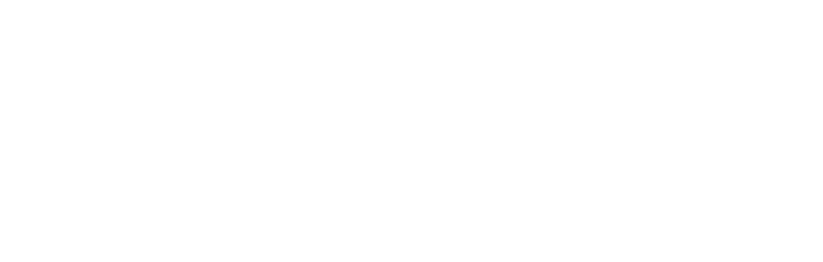 Lincoln National Corporation logo large for dark backgrounds (transparent PNG)