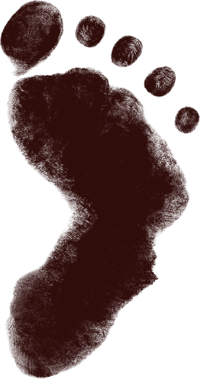 Lesaka Technologies Logo (transparentes PNG)
