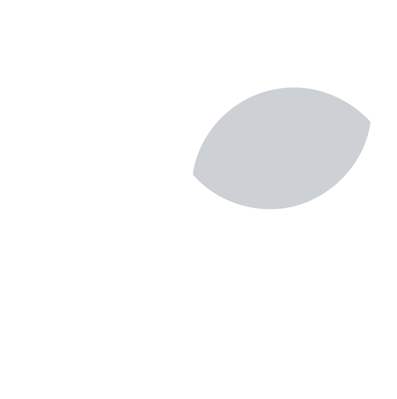 Lightbridge Corporation logo on a dark background (transparent PNG)