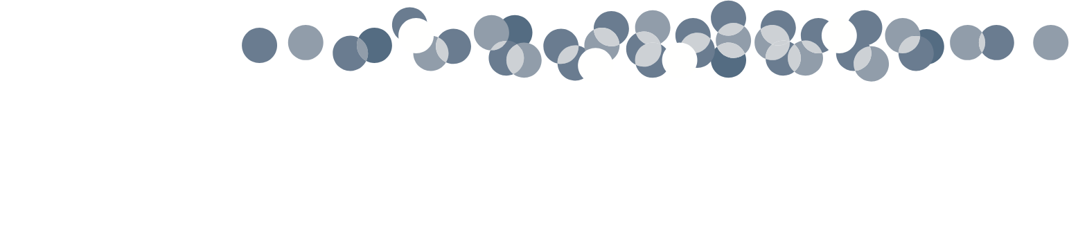 Lightbridge Corporation logo fulle size on a dark background (transparent PNG)