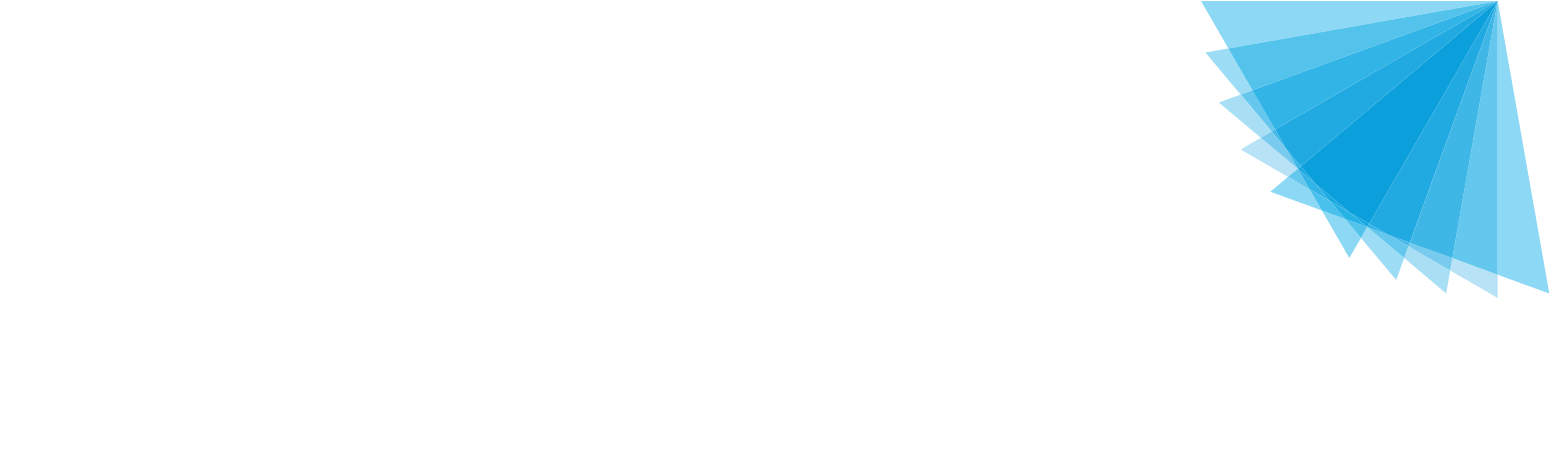 Nynomic AG logo fulle size on a dark background (transparent PNG)