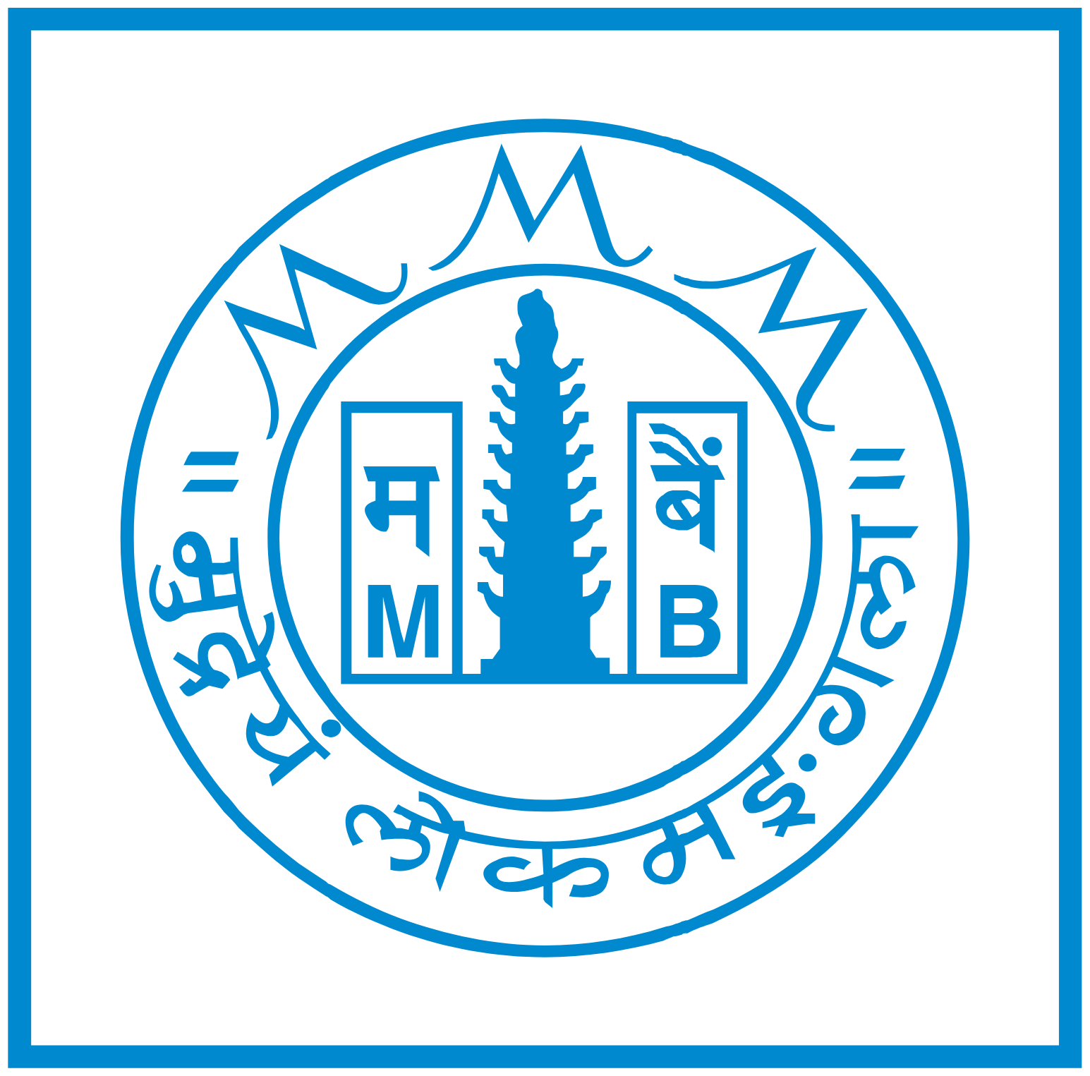 Bank of Maharashtra
 logo (transparent PNG)