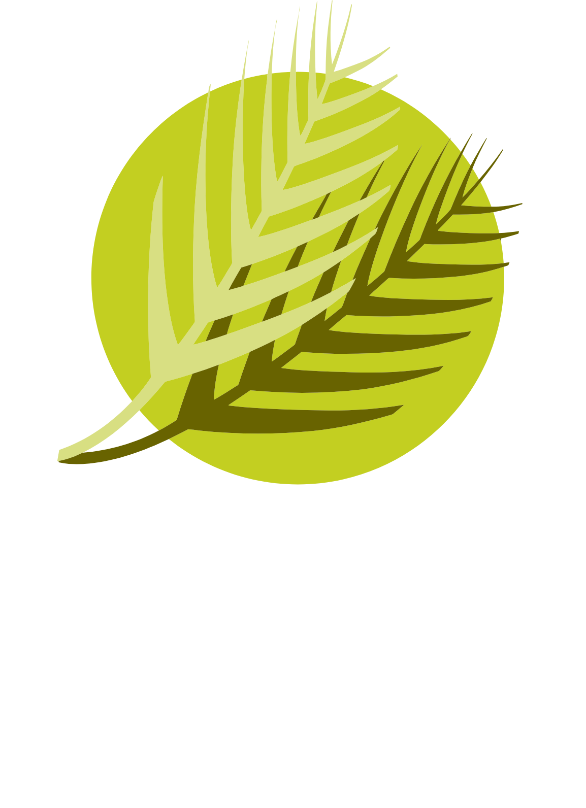 Al Meera Consumer Goods Company logo fulle size on a dark background (transparent PNG)