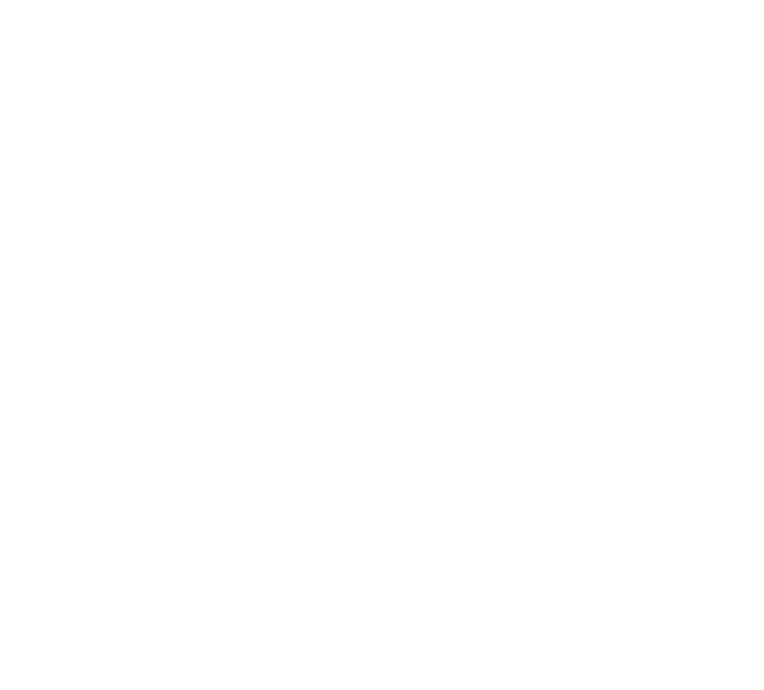 Magnite Logo für dunkle Hintergründe (transparentes PNG)