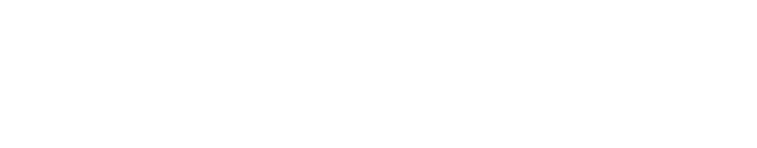 Magnit
 logo fulle size on a dark background (transparent PNG)