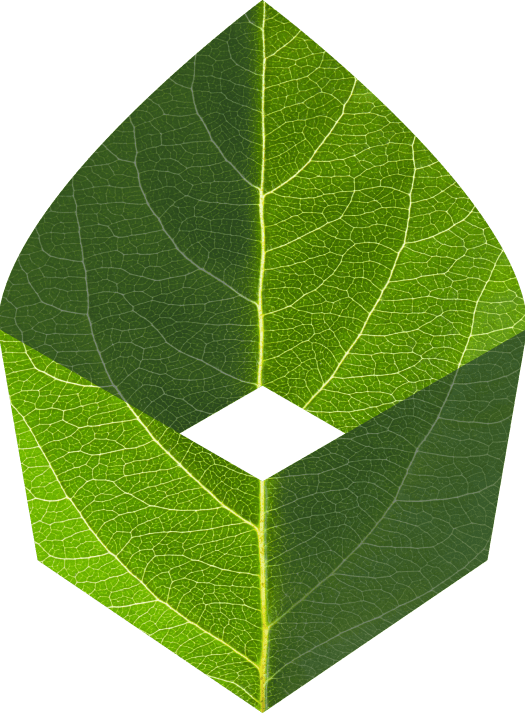 MLP Group S.A. Logo (transparentes PNG)