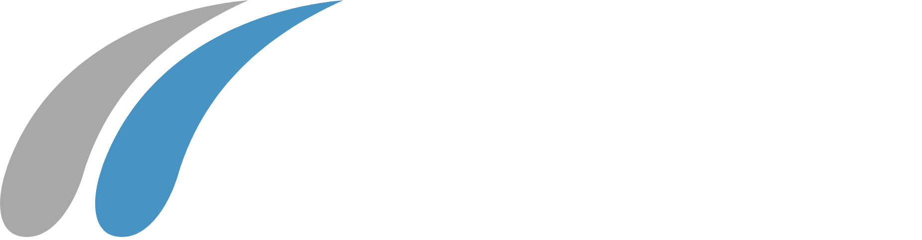Mechel PAO logo large for dark backgrounds (transparent PNG)