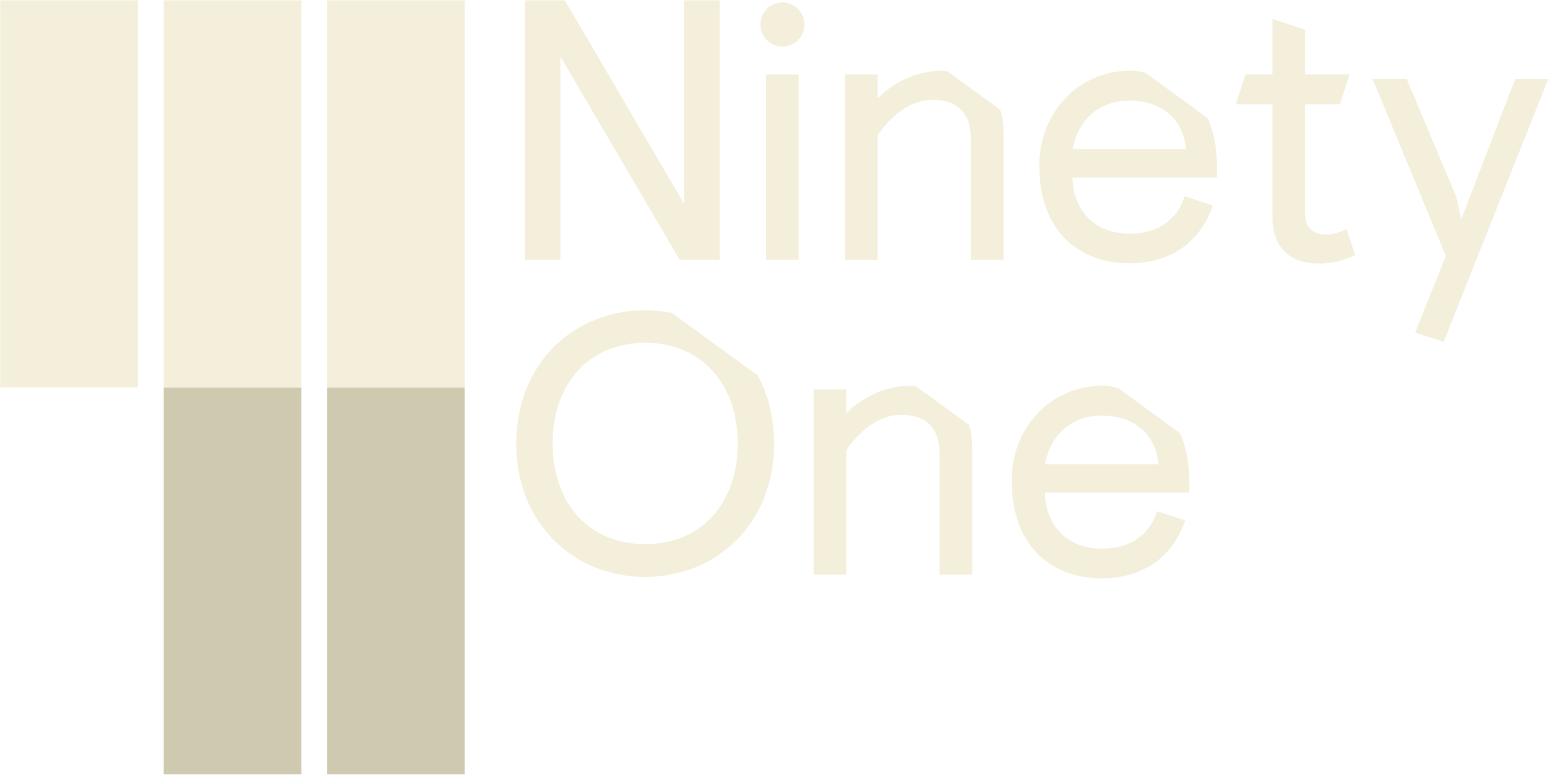 Ninety One Group logo grand pour les fonds sombres (PNG transparent)