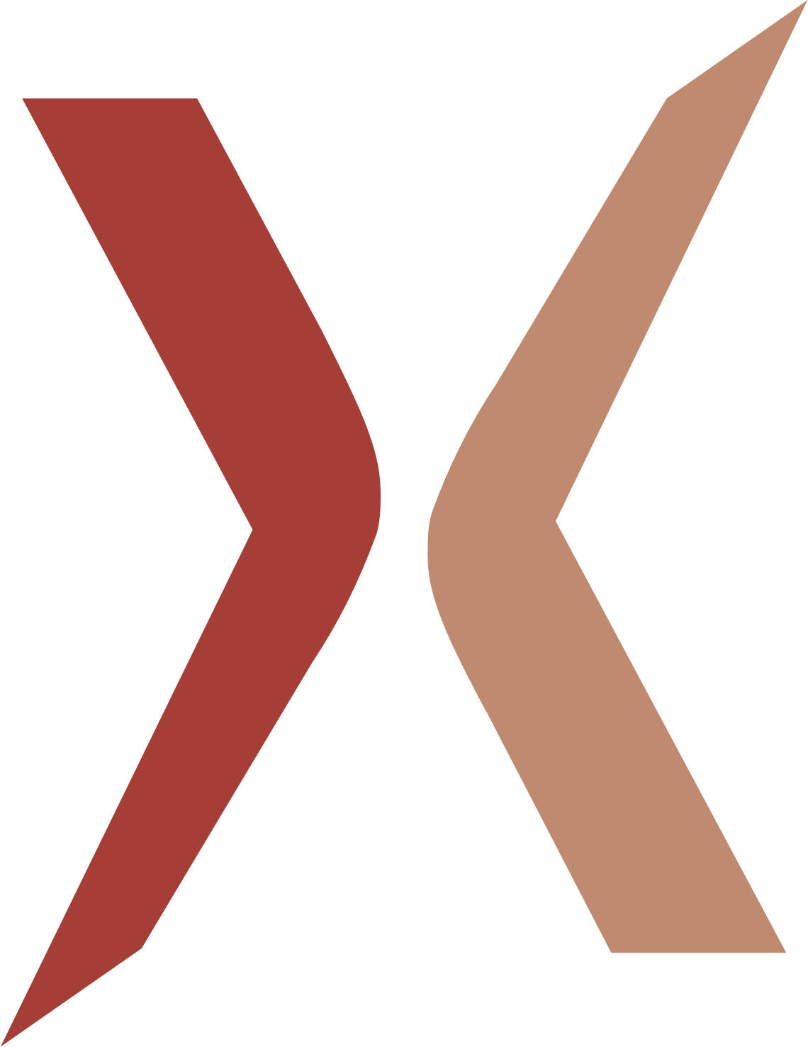 Nanexa AB Logo (transparentes PNG)