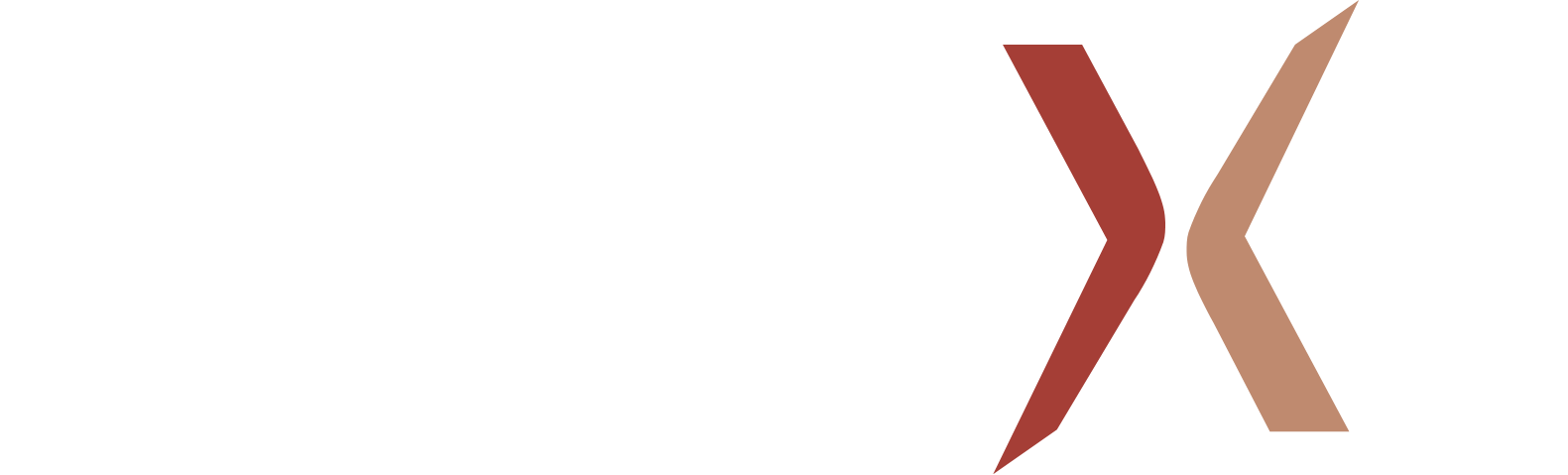 Nanexa AB Logo groß für dunkle Hintergründe (transparentes PNG)