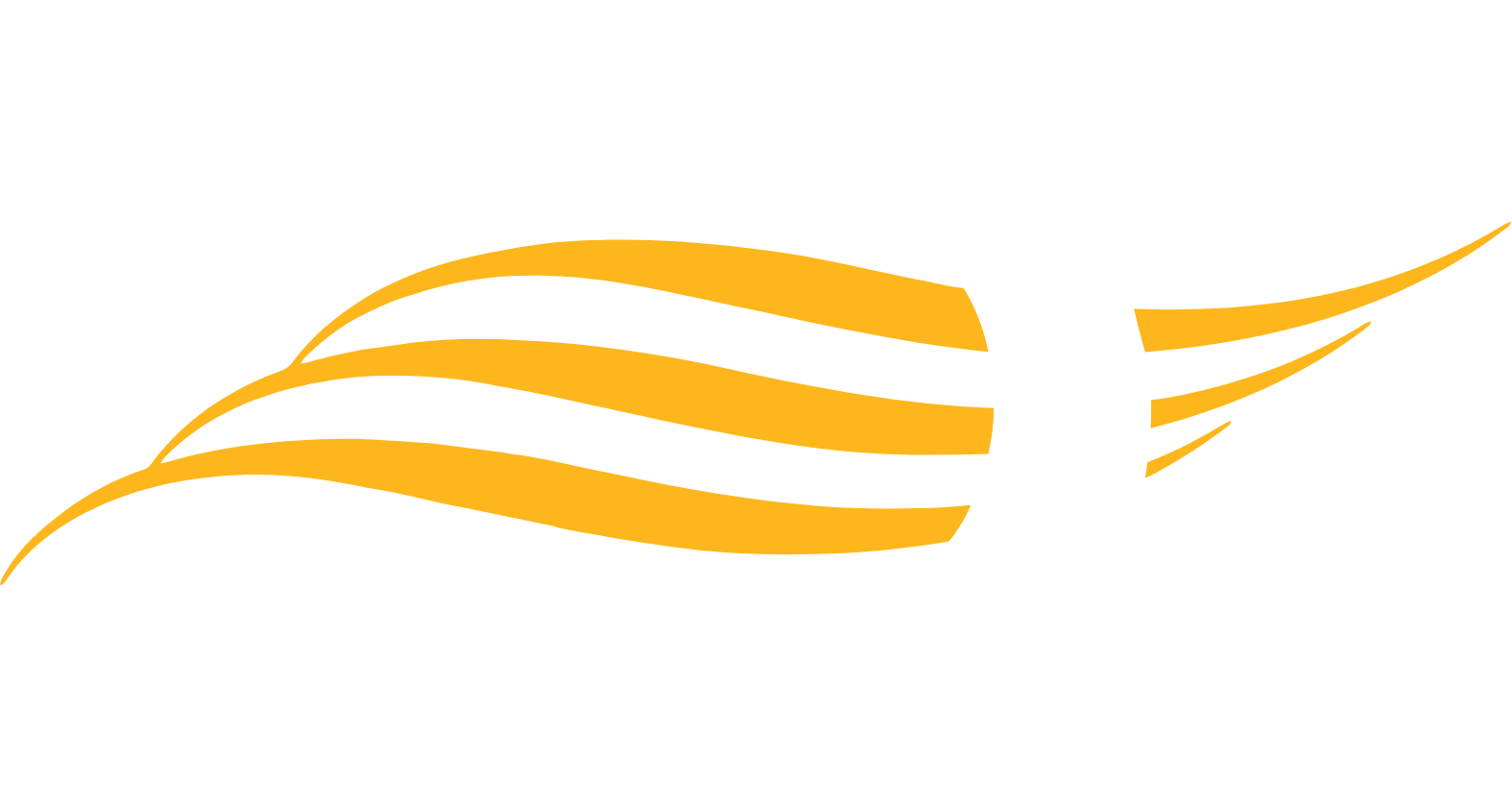 Inari Medical
 logo on a dark background (transparent PNG)