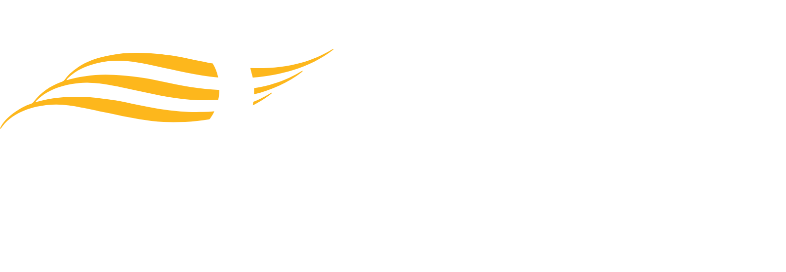 Inari Medical
 logo fulle size on a dark background (transparent PNG)