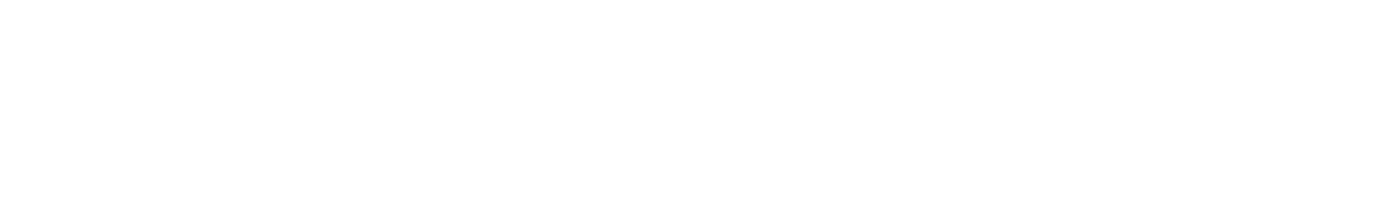 Norwegian Air Shuttle
 logo fulle size on a dark background (transparent PNG)