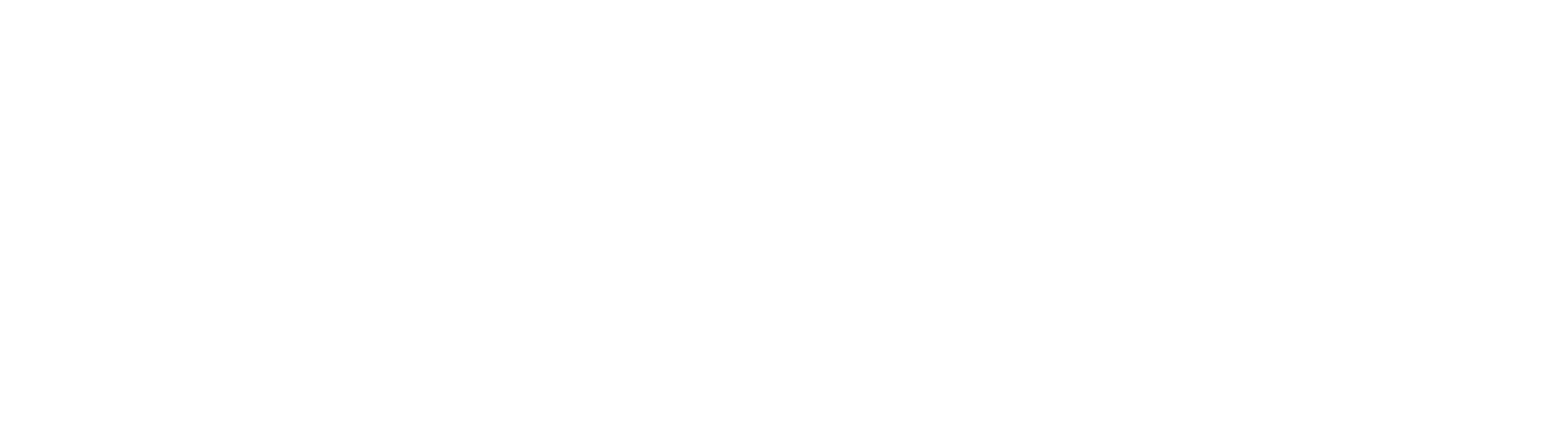 Nature's Sunshine Products logo fulle size on a dark background (transparent PNG)