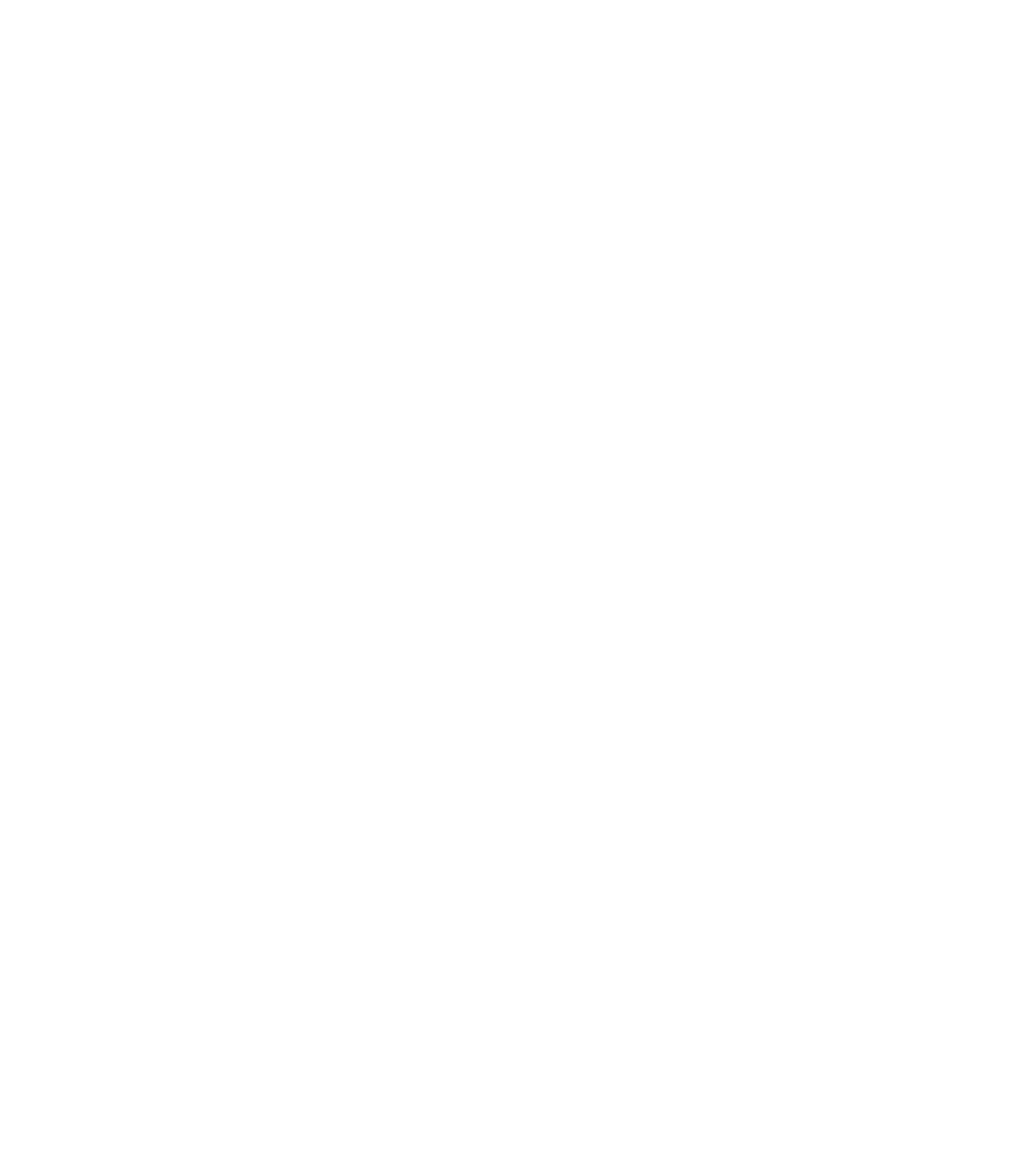 Navan logo on a dark background (transparent PNG)