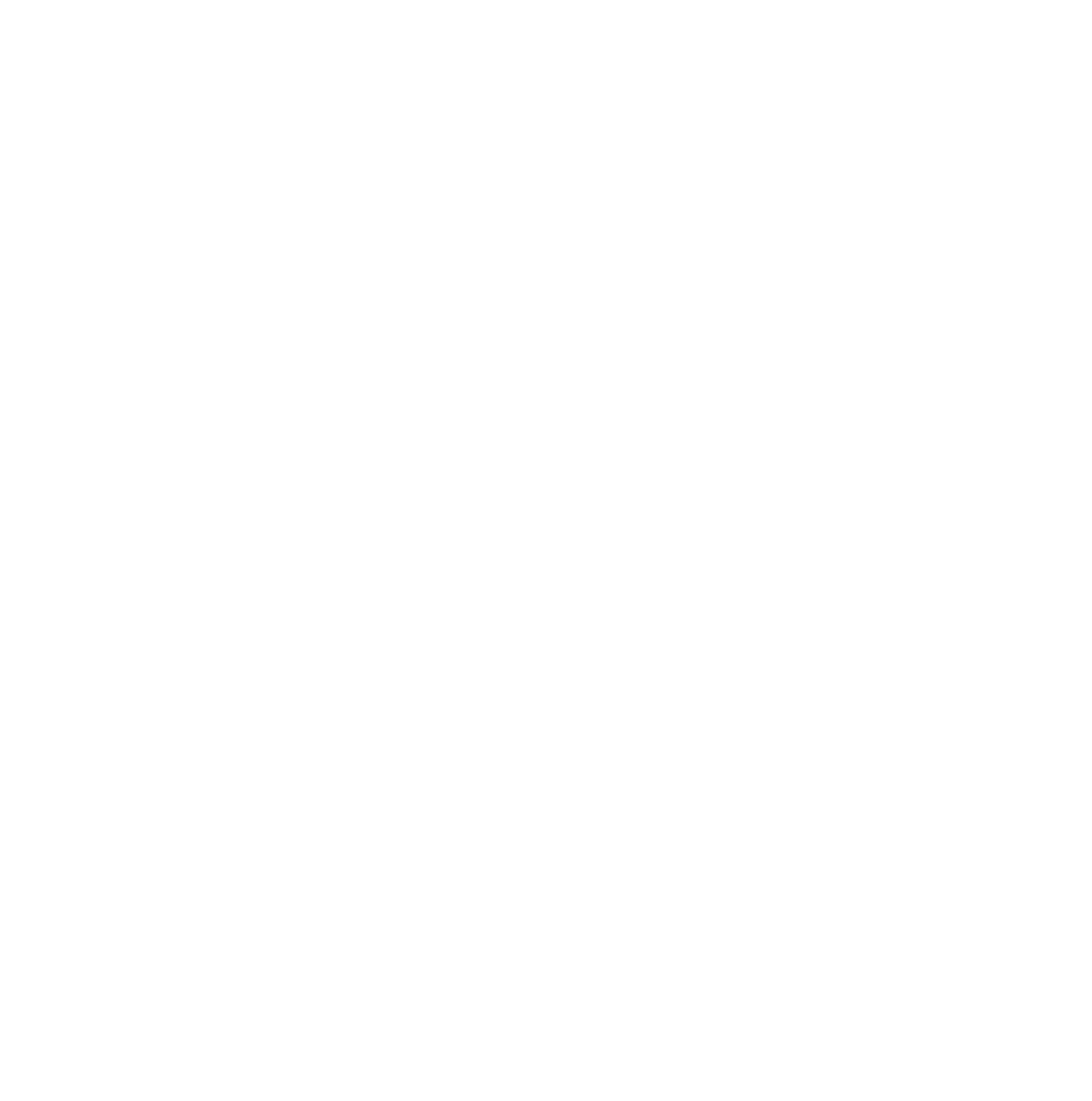 Nürnberger Versicherung
 logo on a dark background (transparent PNG)