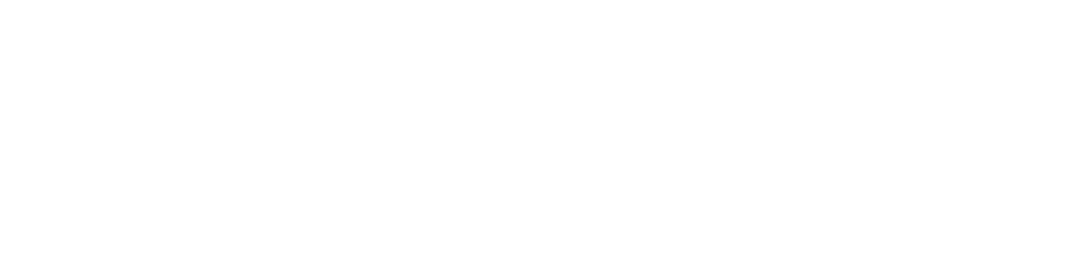 Nürnberger Versicherung
 logo fulle size on a dark background (transparent PNG)