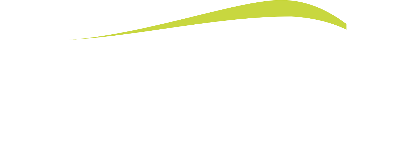 Northeast Bank logo grand pour les fonds sombres (PNG transparent)