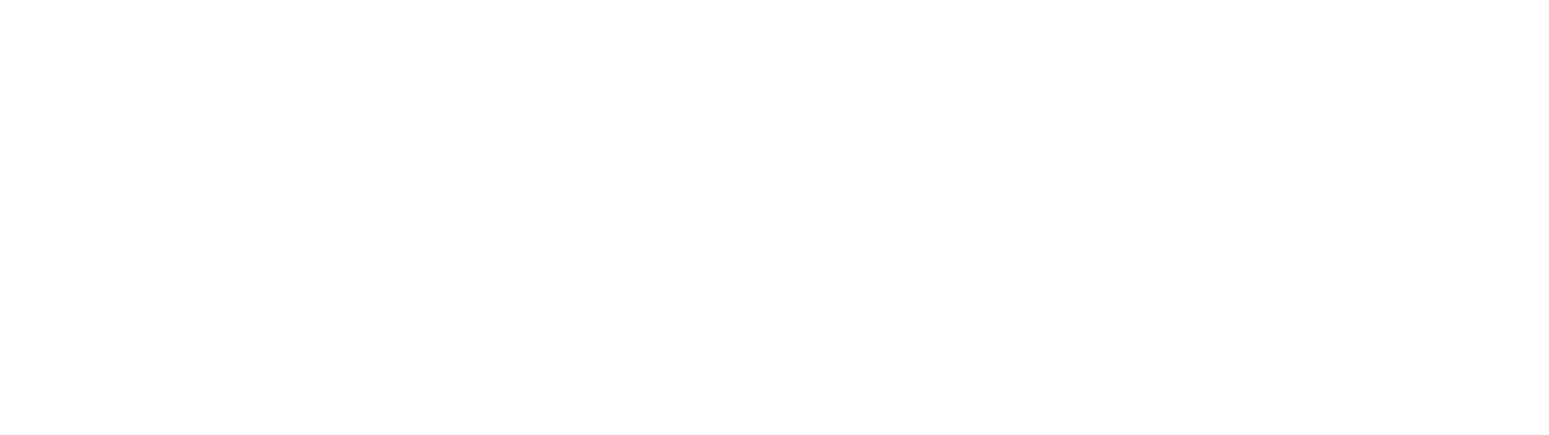 Nanobiotix logo on a dark background (transparent PNG)