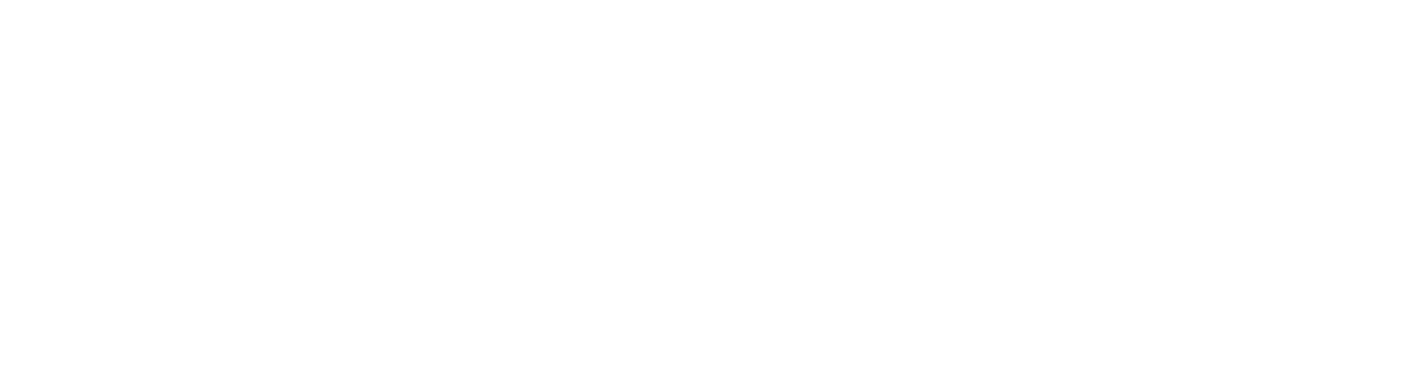 Norwegian Cruise Line
 logo fulle size on a dark background (transparent PNG)
