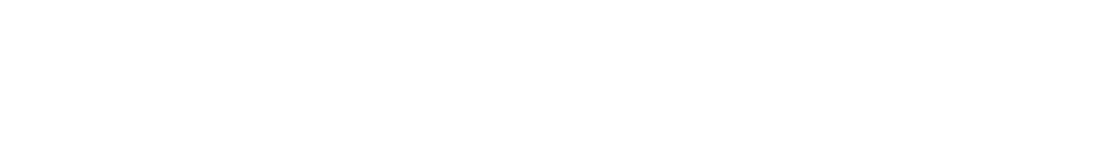 Nordecon AS Logo groß für dunkle Hintergründe (transparentes PNG)