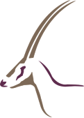 National Corporation for Tourism & Hotels logo (transparent PNG)