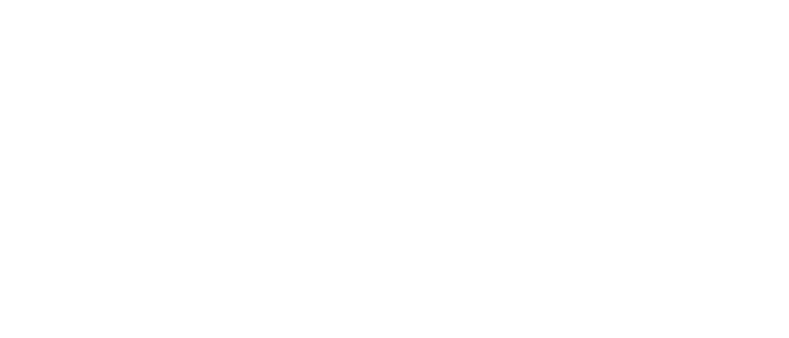 Nelco logo grand pour les fonds sombres (PNG transparent)