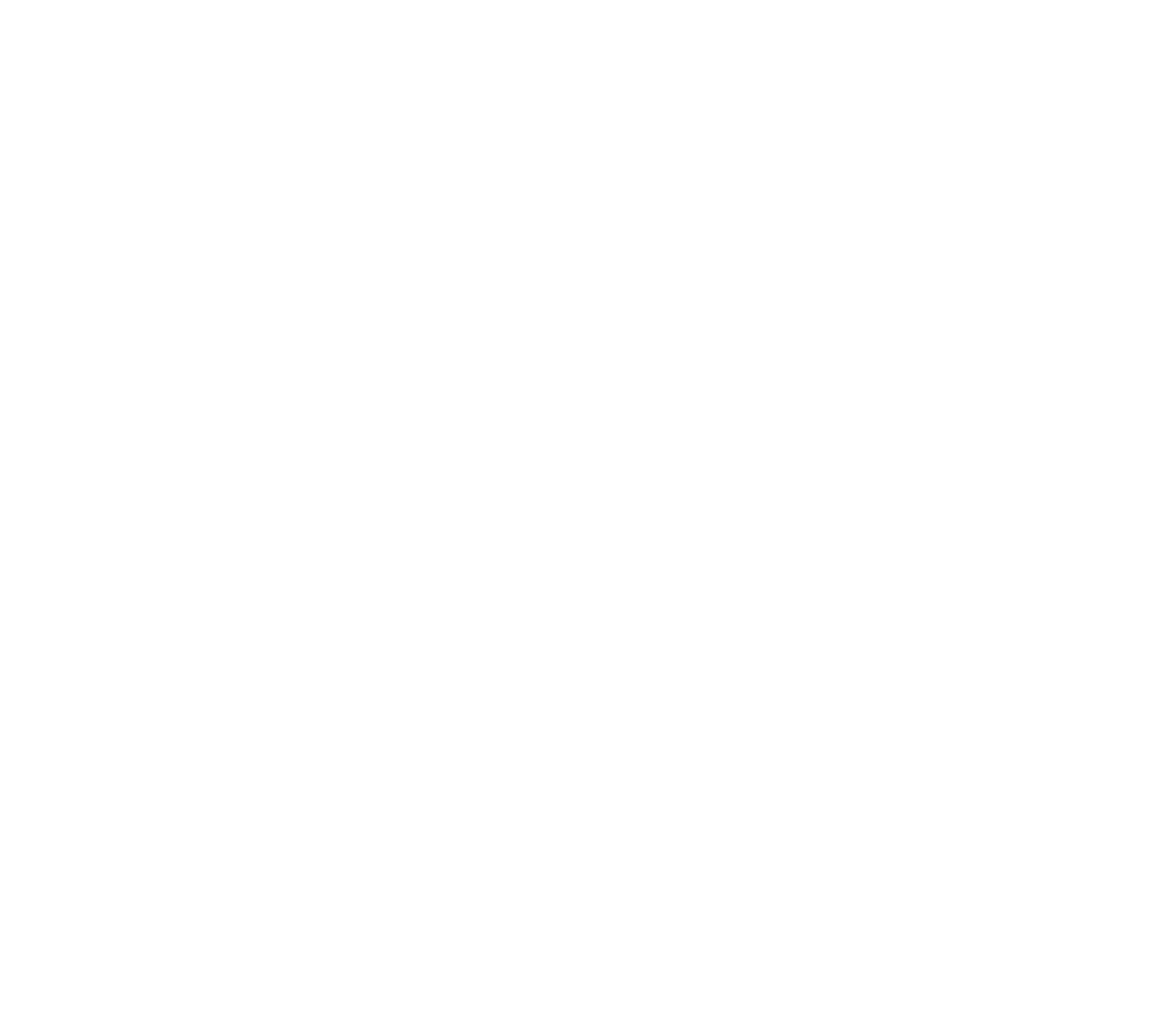 NeoVolta logo on a dark background (transparent PNG)