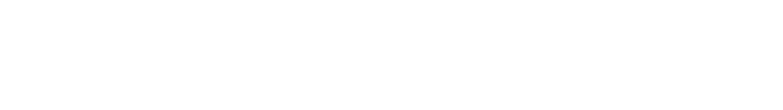 Netcompany Group logo fulle size on a dark background (transparent PNG)