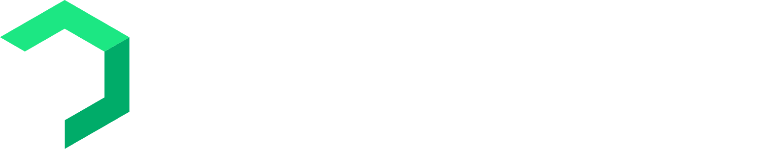 New Relic
 logo grand pour les fonds sombres (PNG transparent)