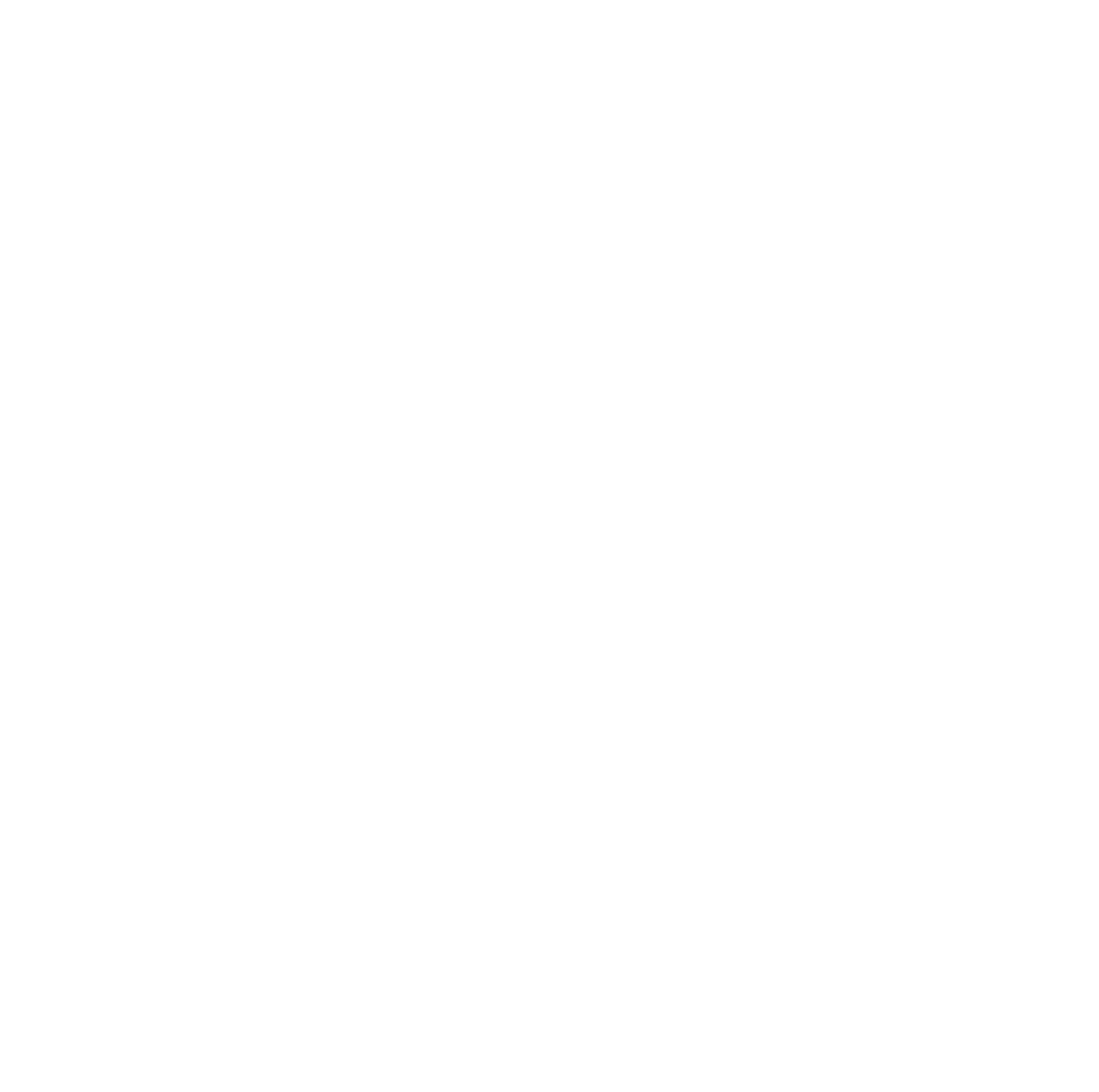 Newtek Logo für dunkle Hintergründe (transparentes PNG)