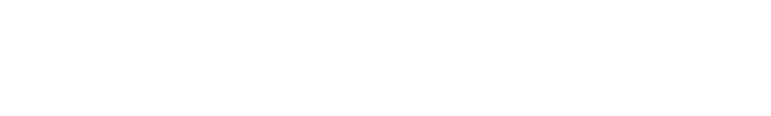 Newtek Logo groß für dunkle Hintergründe (transparentes PNG)