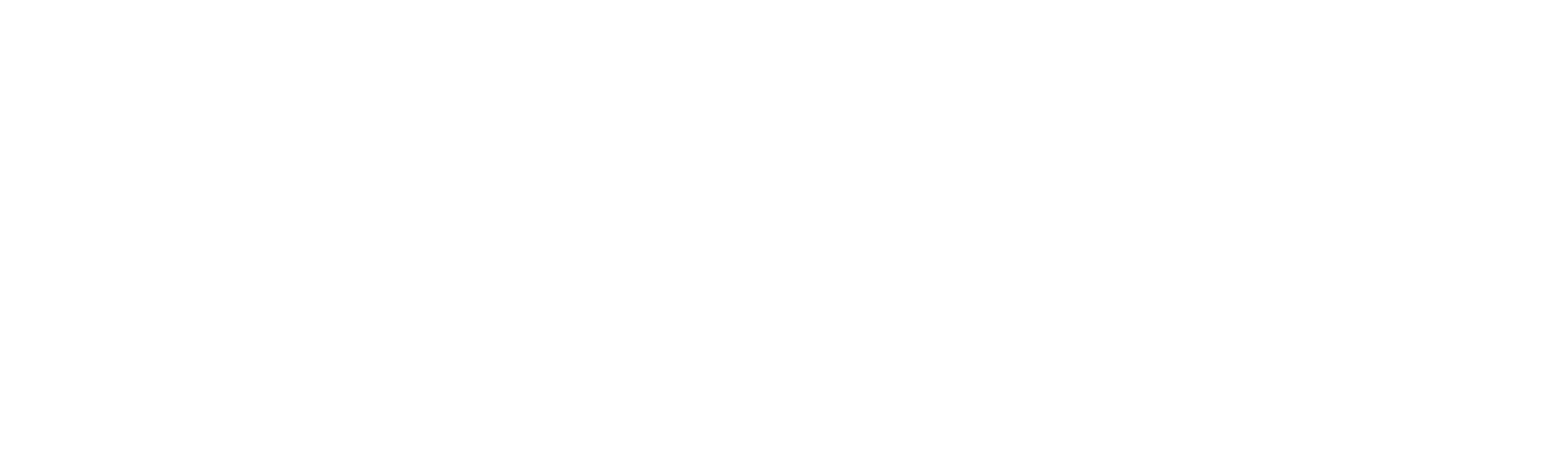 Nexi Logo für dunkle Hintergründe (transparentes PNG)